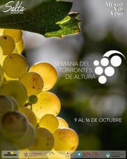 09 24 torrontes