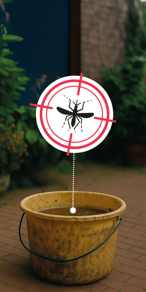 Municipalidad de Salta