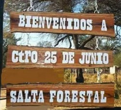 01 15 saltaforestal