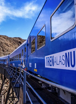 01 21 trenalasnubes