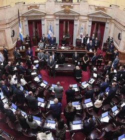 05 06 senado