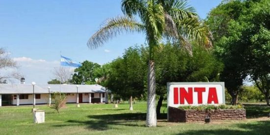 06 09 inta