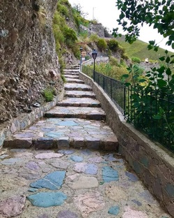 06 15 sanisidro2