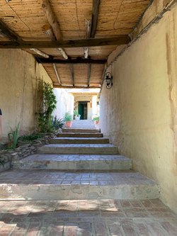 06 23 lapaya2