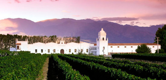 06 25 bodegas