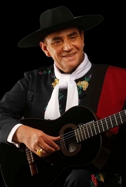 06 30 palavecino