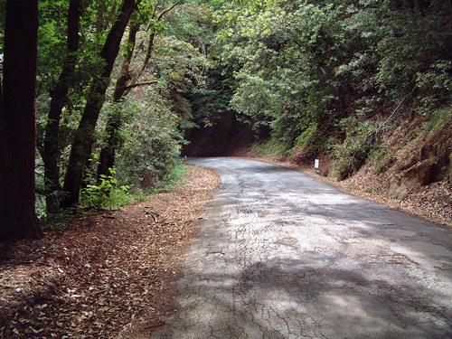 07 19 gallinato3