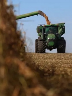 09 25 campo