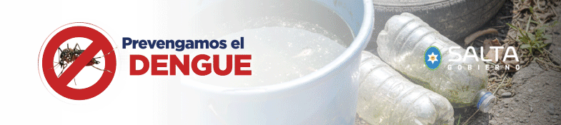Banner superior TOP