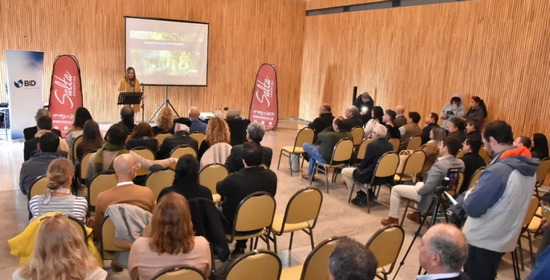 05 28 vitivinicultura