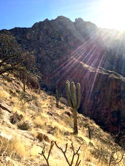 06 27 cafayate2