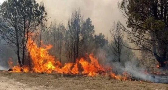 07 22 incendios