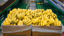 07 27 bananas