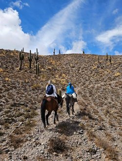 08 16 cerronegro2