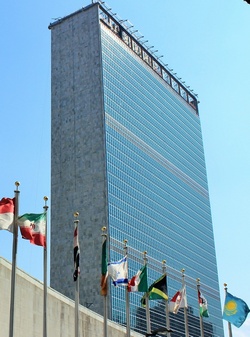 09 27 aimo