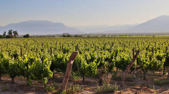 09 29 cafayate54