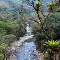 Baritú, el parque nacional enclavado en el corazón de la selva del norte 
