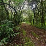 Parque Nacional El Rey: el tesoro oculto en la selva de las Yungas