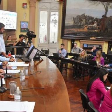 Diputados: intenso debate por la vacunación contra el dengue