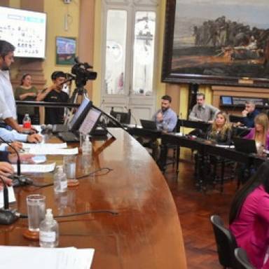 Media sanción para la intervención del Ejecutivo municipal de Aguas Blancas