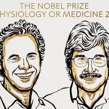 Nobel de Medicina para Victor Ambros y Gary Ruvkun