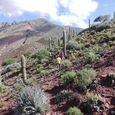 Brealito, un oasis verde en el corazón de los Valles Calchaquíes