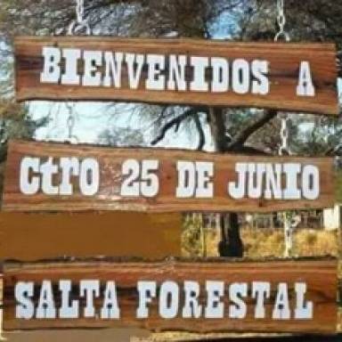 Salta Forestal: plan de regularización dominial