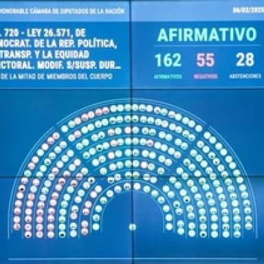 Media sanción a la suspensión de las PASO Nacionales