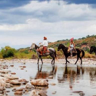 Campo Santo, el corazón dulce de Salta