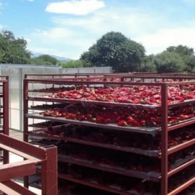 El orgullo del pimentón del Valle Calchaquí