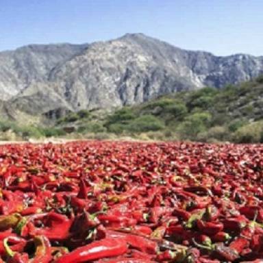 El pimentón salteño empieza a ganar terreno en la cocina gourmet