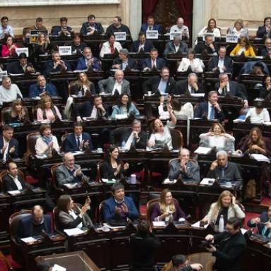 La oposición prepara un golpe a los vetos de Milei