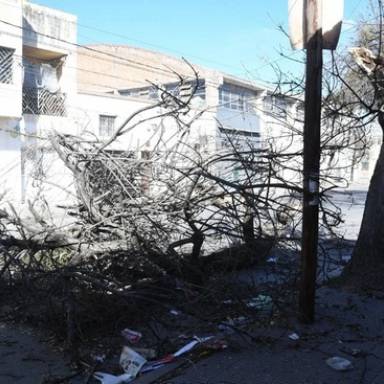 El viento Toro azotó Salta y dejó múltiples incidentes