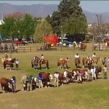 Arranca la edición número 81 de la Expo Rural Salteña