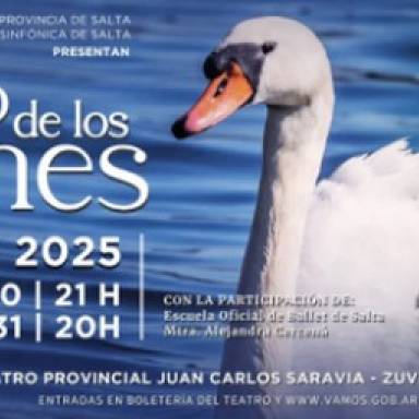 El Lago de los Cisnes se presenta en el Teatro Provincial