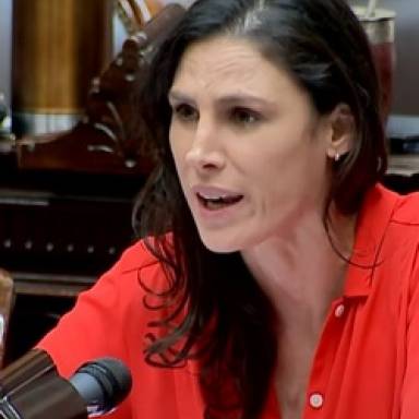 Calletti: no se puede gobernar a base de veto