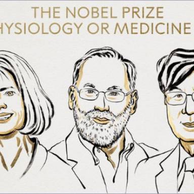 Nobel de Medicina 2025 para tres científicos