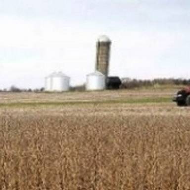 Los sojeros liquidaron apenas 1100 millones de dólares