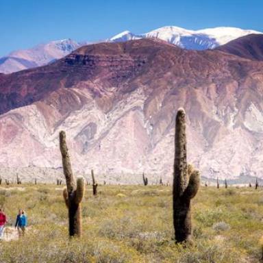 Parque Nacional Los Cardones: 29 años de vida y conservación