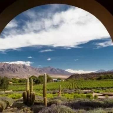 Salta se destaca como destino enoturístico