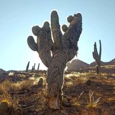El Gólgota: un altar de piedra en la Cordillera Oriental