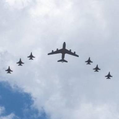 Video Game: un león domesticado