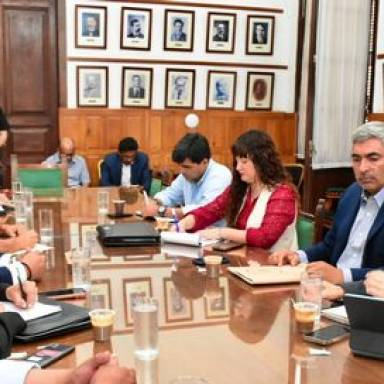 Flavia Royón expuso el proyecto de reforma a la Ley de Glaciares