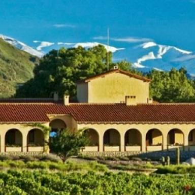 Costos récord para las bodegas salteñas