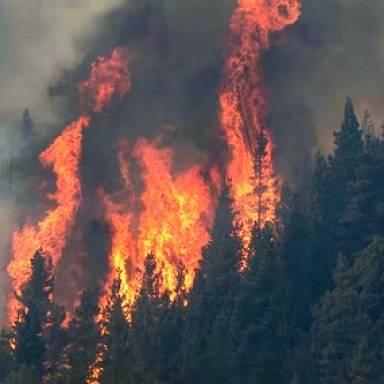 El Gobierno declarará por DNU la Emergencia Ígnea