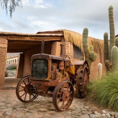 Colomé: la cuna del malbec en los cielos de Salta