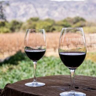 Salta Kilómetro Cero de la Ruta del Vino 