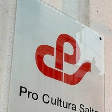 Pro Cultura Salta lanzó la convocatoria +Arte -Violencia