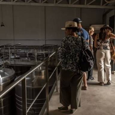 Se viene la Vendimia del alto Valle Calchaquí