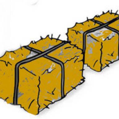 El asno de Buridán: la corrupción peronista o la corrupción libertaria